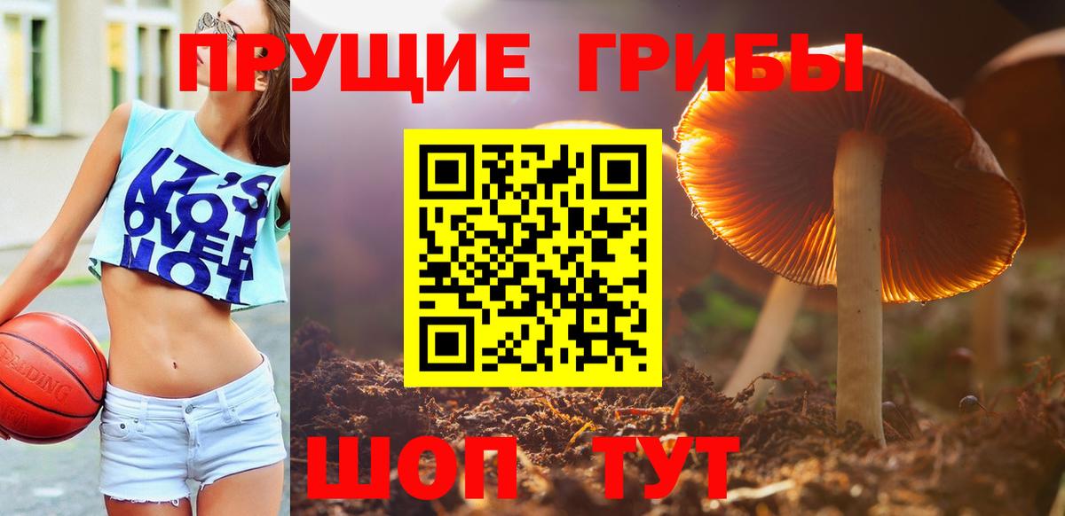 Псилоцибиновые грибы мицелий Магнитогорск